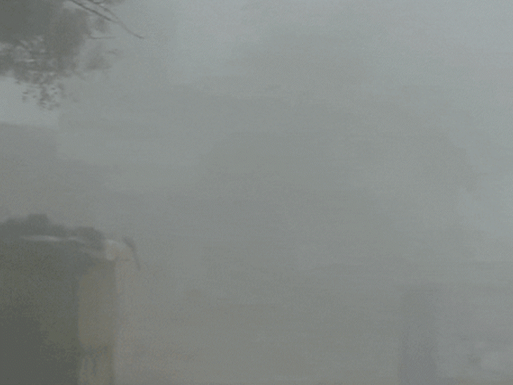 लगातार दूसरा कोल्ड डे, स्कूलों का बदला समय; घने कोहरे से जनजीवन प्रभावित