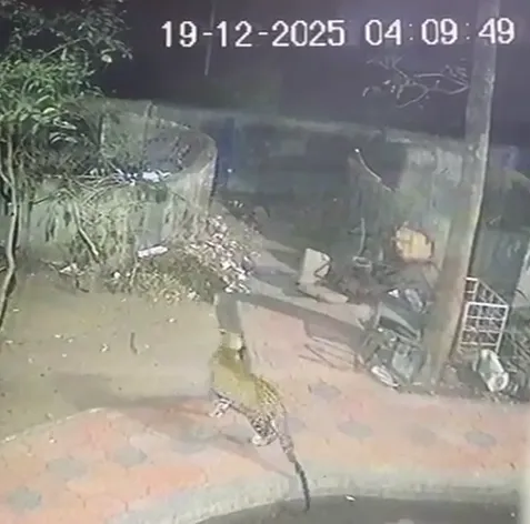 GCF प्रबंधन ने कर्मचारियों और नागरिकों को किया अलर्ट