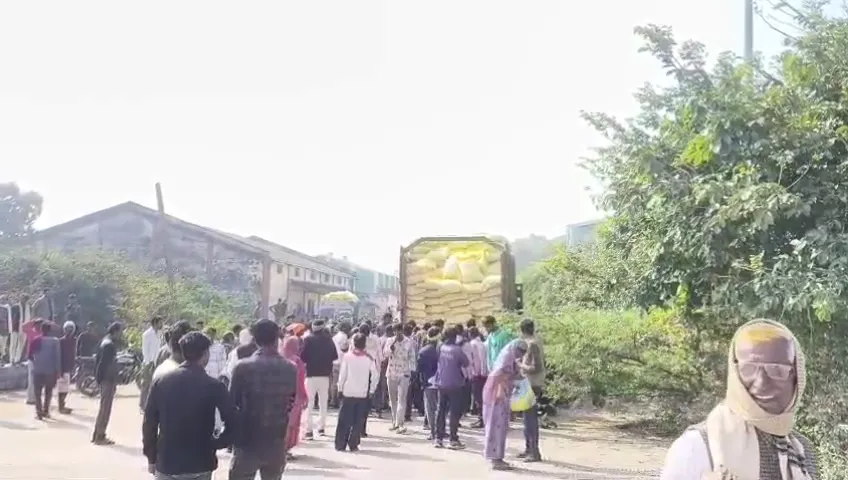 किसानों ने ट्रक में लदा यूरिया खाद लूटा, बोरियां उठाकर लगाई